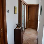 Ca Trinche Camo