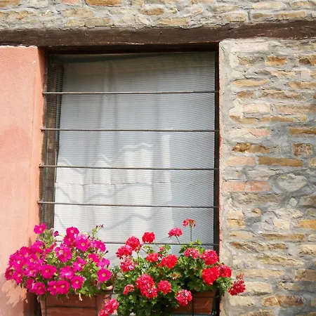 Ca Trinche Casa rural Camo