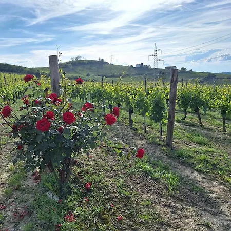 Ca Trinche Séjour à la campagne Camo